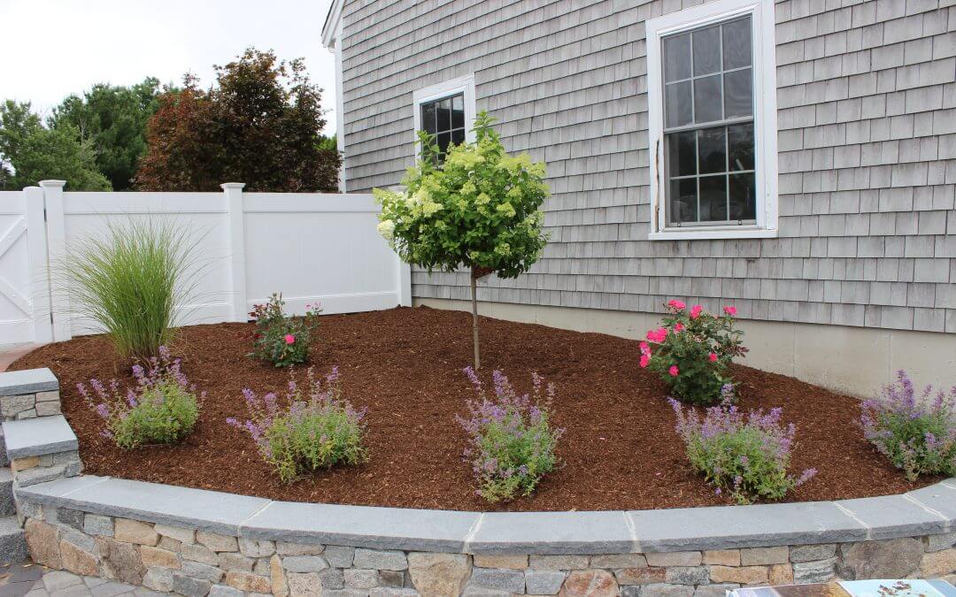 Patio, Granite Steps, Walkway, & Plantings