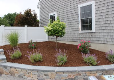 Patio, Granite Steps, Walkway, & Plantings