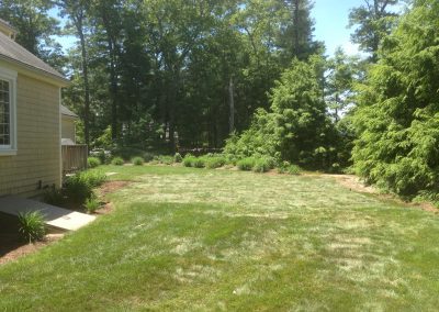 Pool Removal & Sod