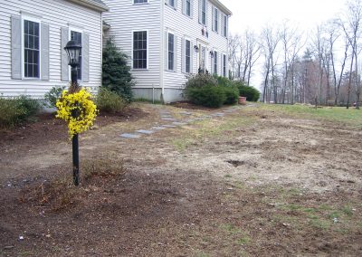 walkway plantings before