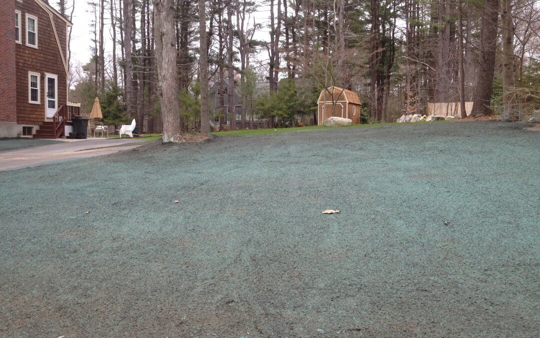 Hydroseeding and Sod Installation